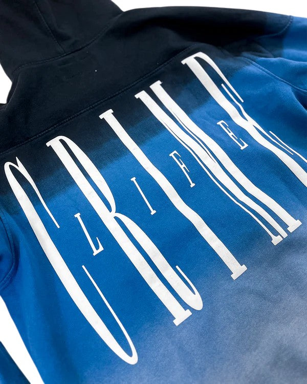 CLASSIC TYPE GRADIENT HOODIE